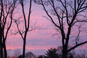 Abington sunset 2015-02-24 17.56.39