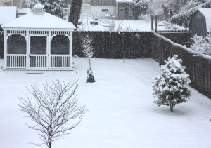 Let this be the last snow of the season.