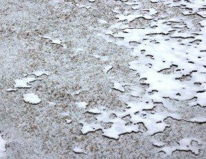 Snow continents in our backyard.