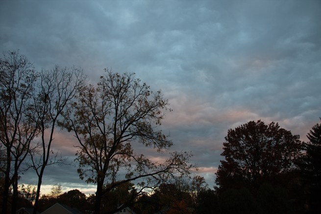 Moning clouds in pink 2015-10-29 07.34.28