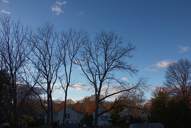 Veterans' Day Afternoon in Abington