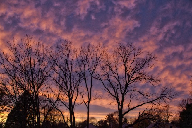 HDR version 2015-11-22 17.43.jpeg