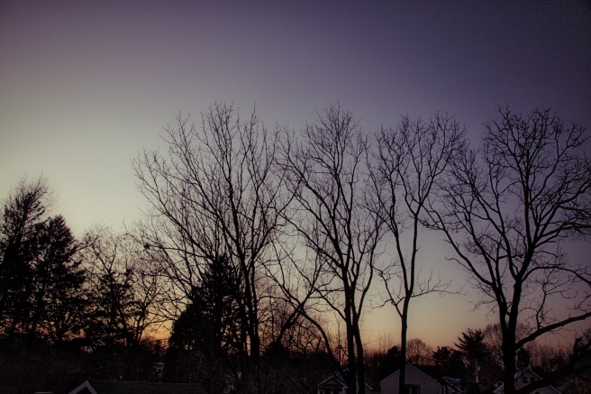 Abington sunset 2015-12-05 16.53.12_HDR.jpeg