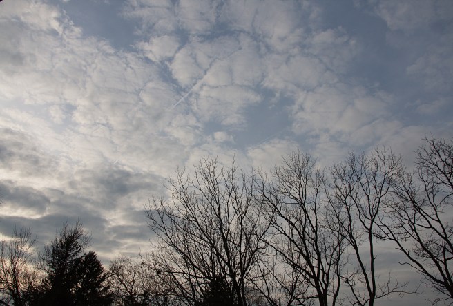 AFP sky 2015-12-12 15.18.49.jpg