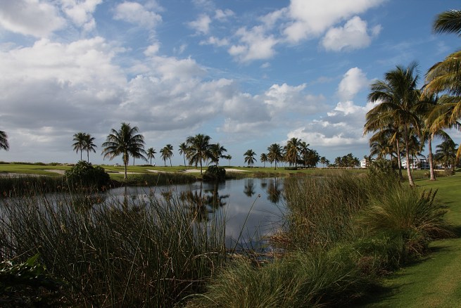 Golf course in early afternoon 2015-12-25 16.22.06.jpg
