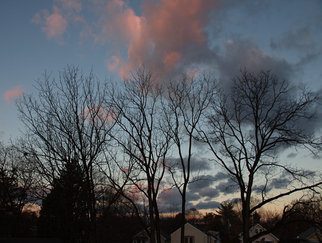 Morning in Abington 2015-12-15 07.21.32.jpg