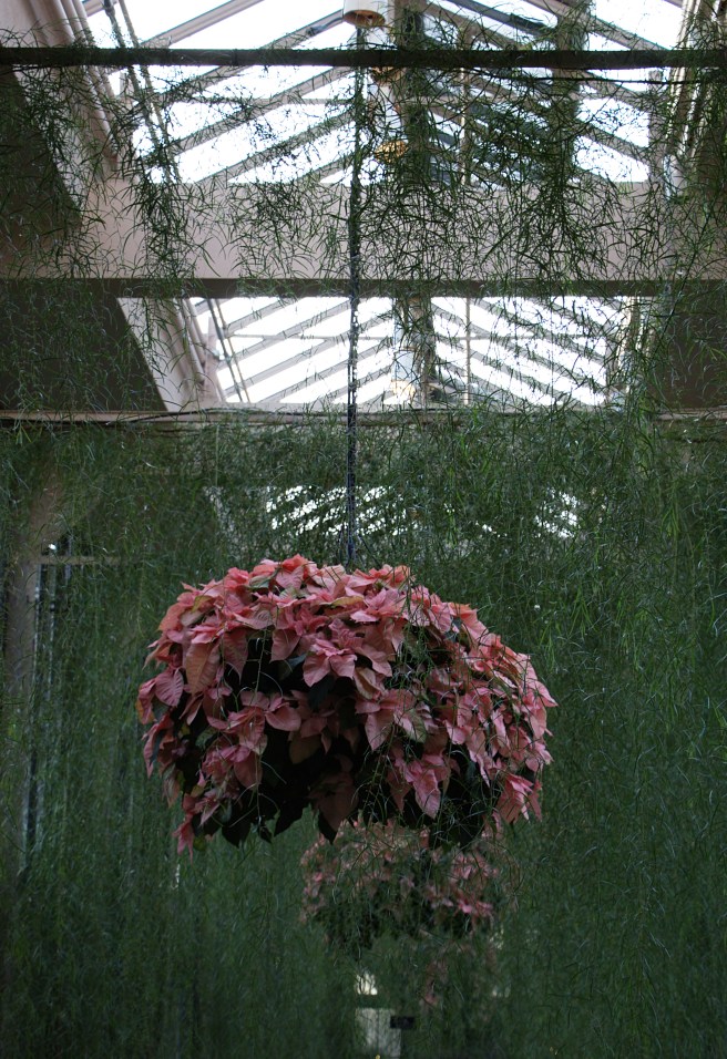 Pink and green to infinity 2015-12-06 16.35.51.jpg