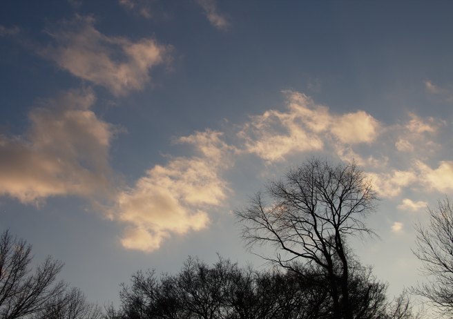 Afternoon mood Affinity 2016-01-02 17.21.03.jpg