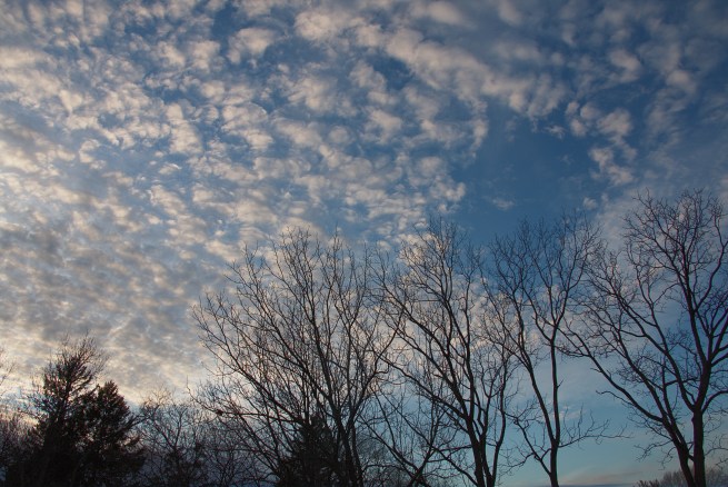 Afternoon sky AFF 2016-01-20 17.42.28.jpg
