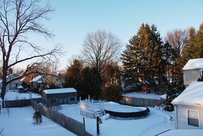 Dog tracks in the winter scene 2016-01-24 17.29.18.jpg