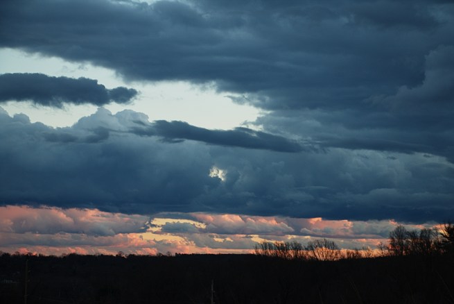 Grey Wow Dark AFF 2016-01-10 17.47.21.jpg