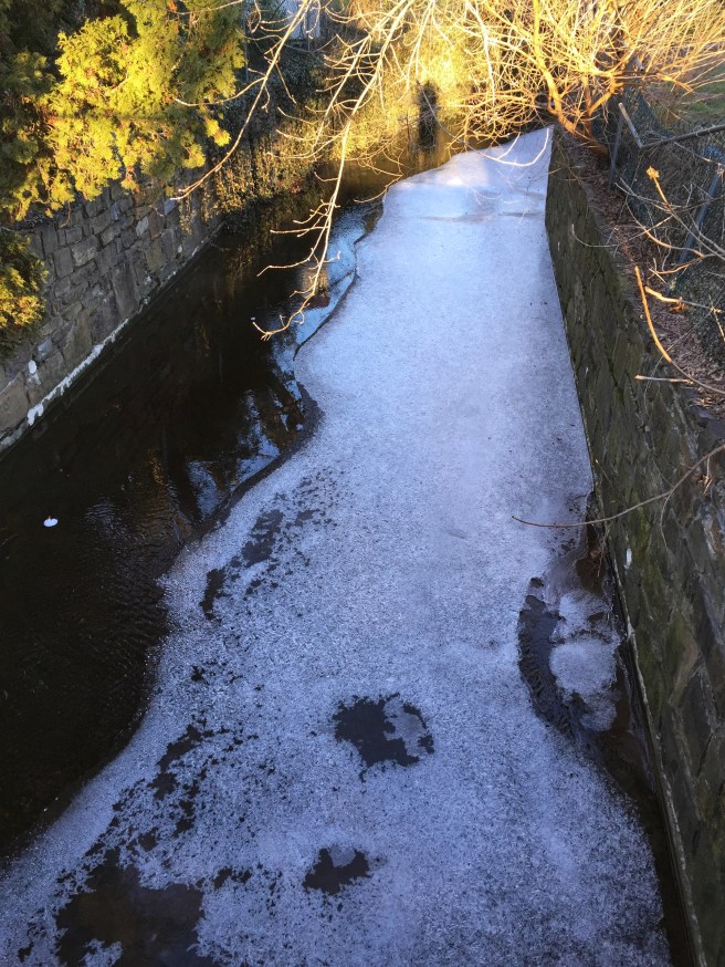 Semi-frozen stream 2016-01-06.jpg