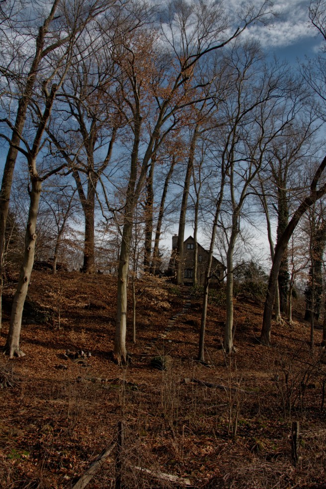 House on the hill AFF 2016-02-06 16.19.jpeg