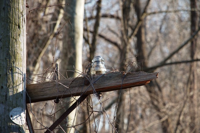 I used to regulate power Pennypack trail AFF 2016-02-27 16.46.31.jpg