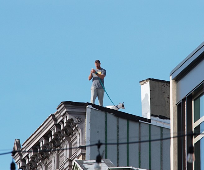 Man and dog on roof 2016-02-07 14.42.17.jpg