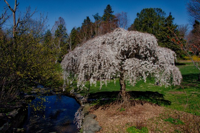 2016-03-26 10.50.jpeg