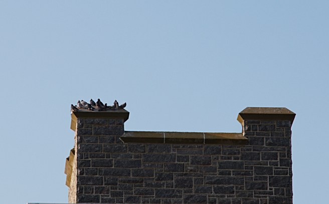 Gathering on the sunny side 2016-03-06 17.20.33.jpg