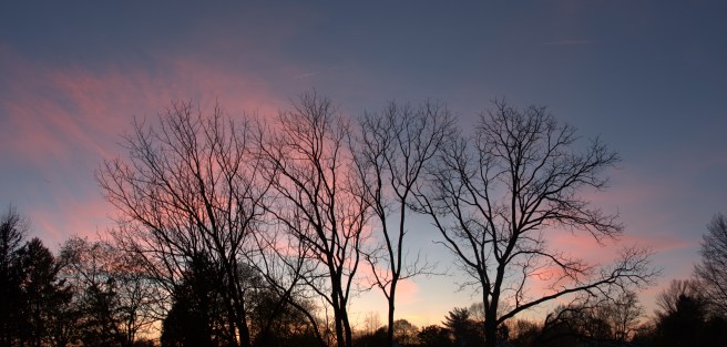 Pink sunset panorama AFF 4 shots 2016-04-16.jpg