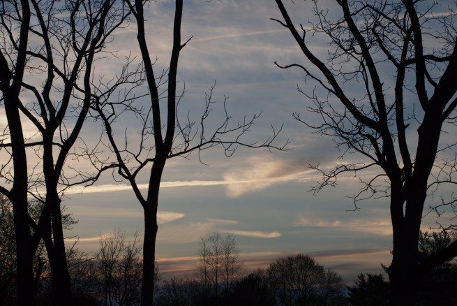 Sunset 2016-04-13 19.26.46.jpg