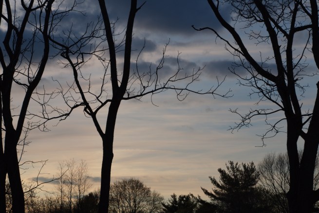 Sunset time pastels 2016-04-08 19.02.49.jpg