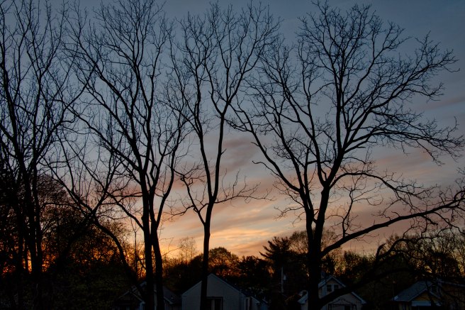 Sunset with more color AFF AU 2016-04-19 19.43.jpg