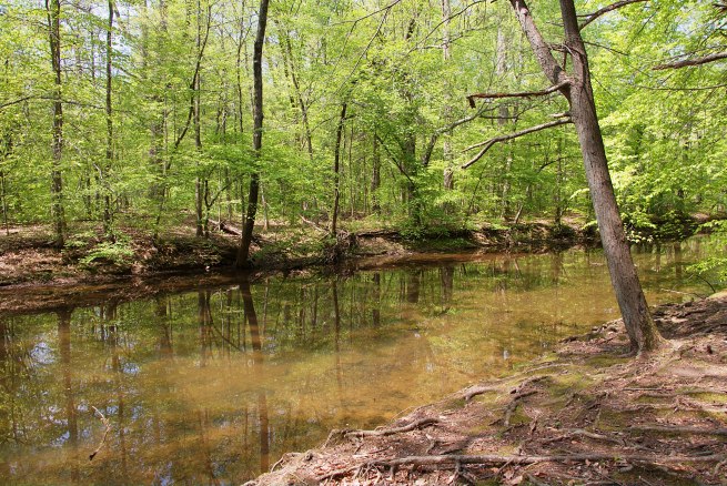 Creek 1 2016-05-12 14.34.16