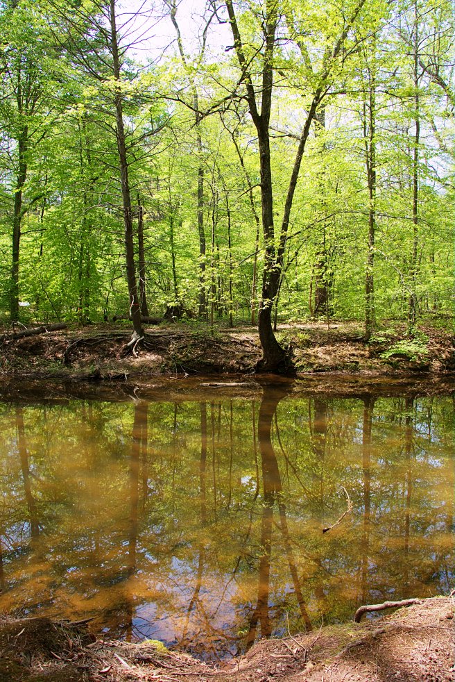 Creek 2 2016-05-12 14.34.45