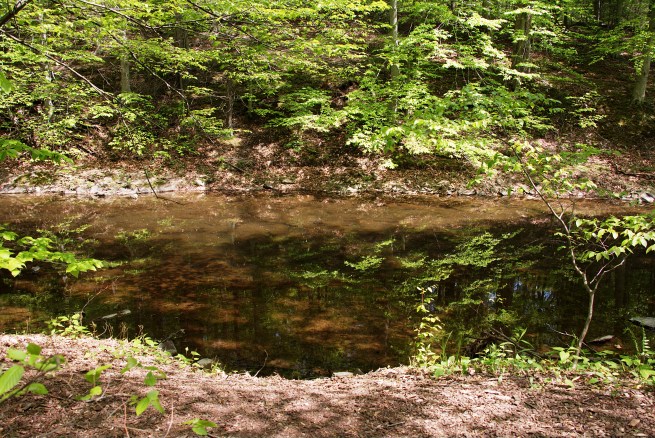 Creek 3 2016-05-12 14.54.28
