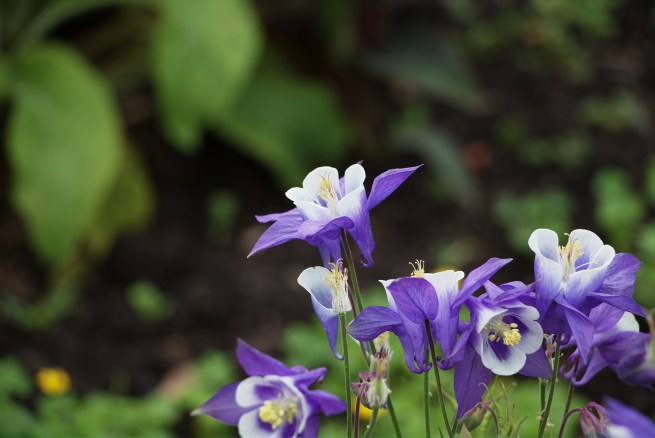 Looking around 2016-05-22 13.46.43