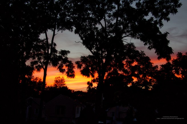 Post sunset 2 signed 2016-07-26 20.30